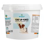 Calf Up Force (3 kg)